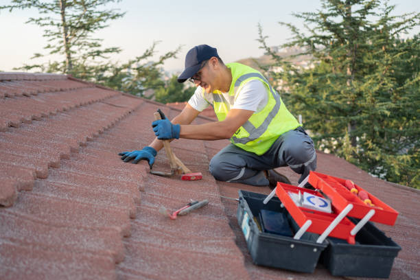 Roof Gutter Cleaning in Brooksville, MS